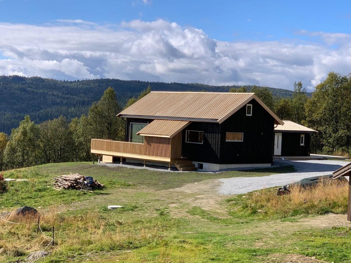 Na Er Vinteren Kommet Til Hallingdal Al Luaran gambar