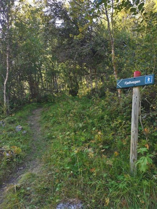 Na Er Vinteren Kommet Til Hallingdal Al Luaran gambar