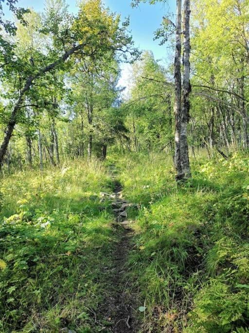 Na Er Vinteren Kommet Til Hallingdal Al Luaran gambar