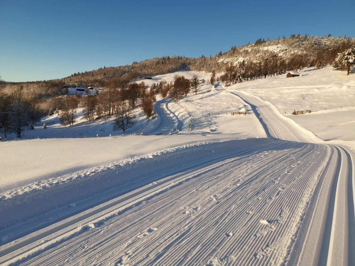 Na Er Vinteren Kommet Til Hallingdal Al Luaran gambar