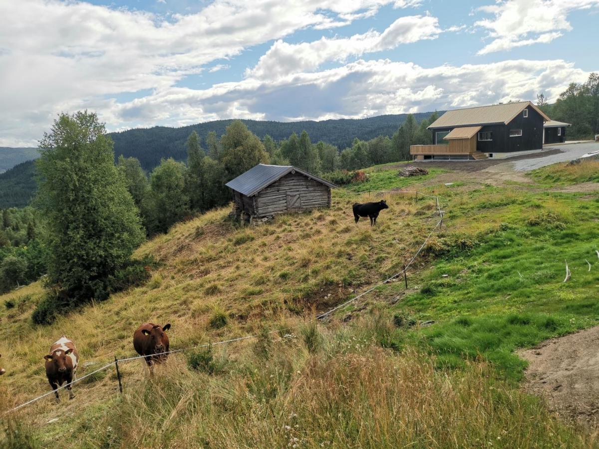 Na Er Vinteren Kommet Til Hallingdal Al Luaran gambar