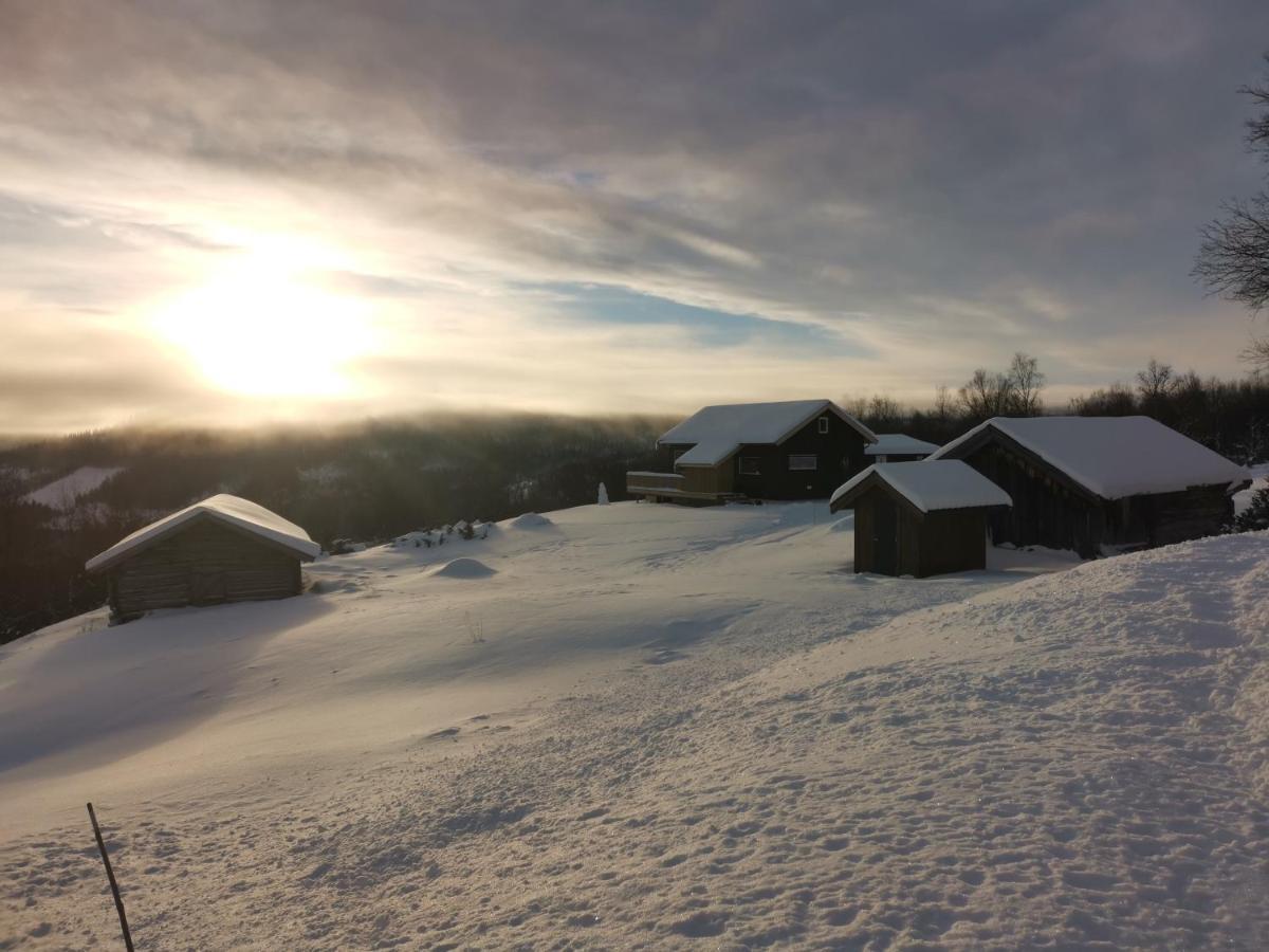 Na Er Vinteren Kommet Til Hallingdal Al Luaran gambar