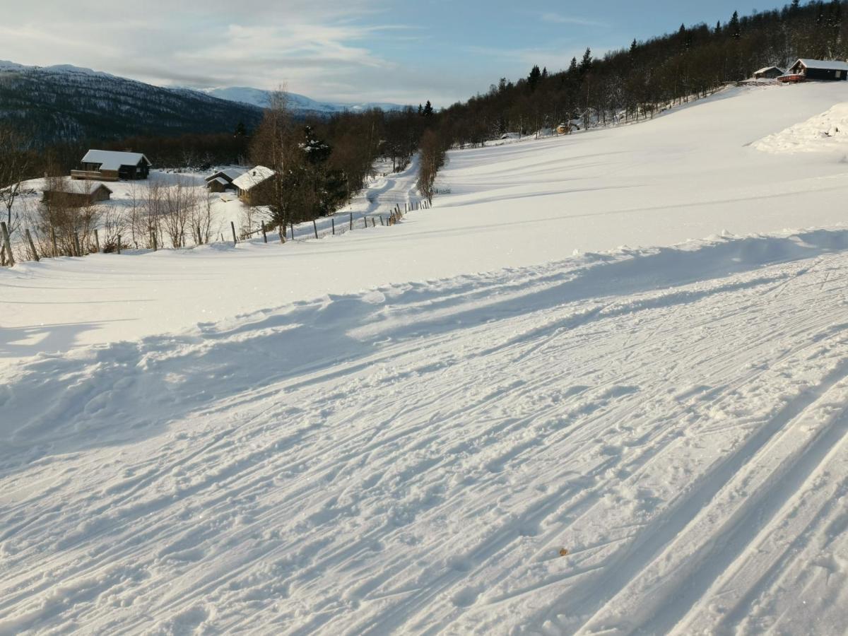 Na Er Vinteren Kommet Til Hallingdal Al Luaran gambar