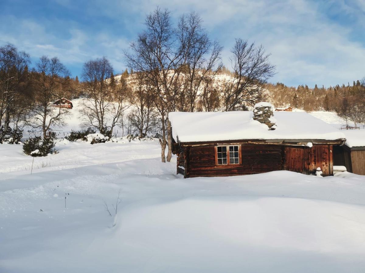 Na Er Vinteren Kommet Til Hallingdal Al Luaran gambar