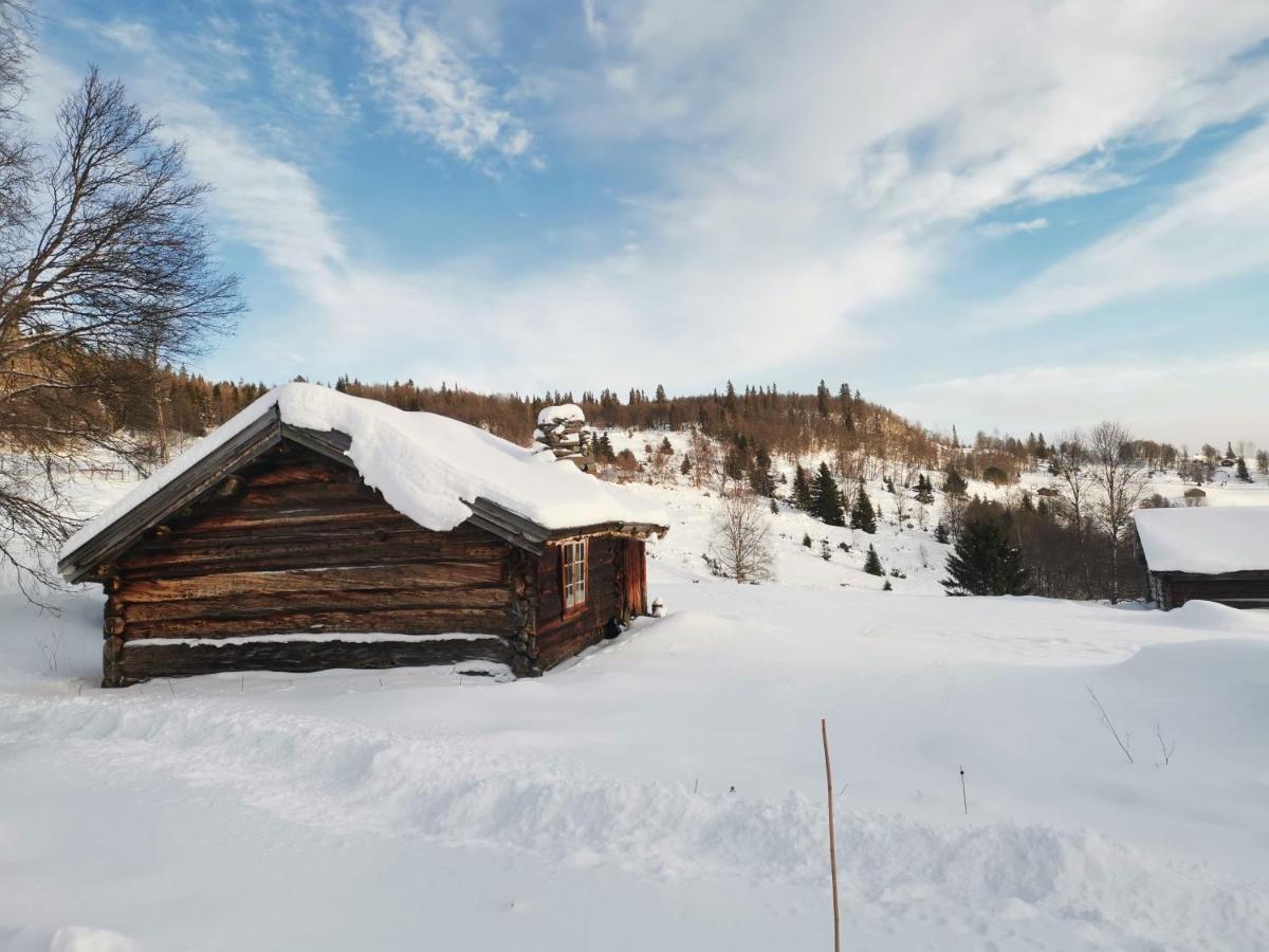 Na Er Vinteren Kommet Til Hallingdal Al Luaran gambar