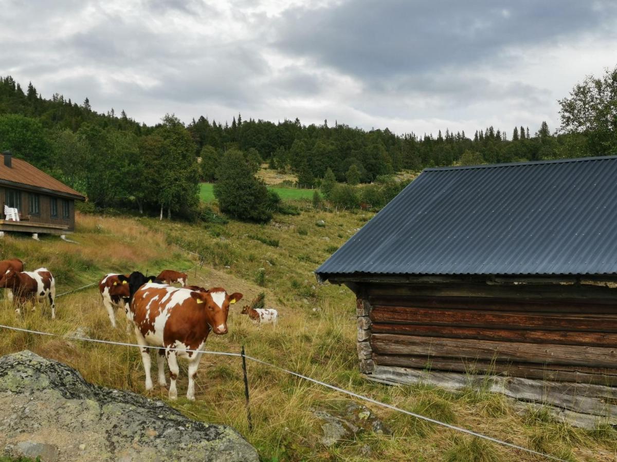 Na Er Vinteren Kommet Til Hallingdal Al Luaran gambar